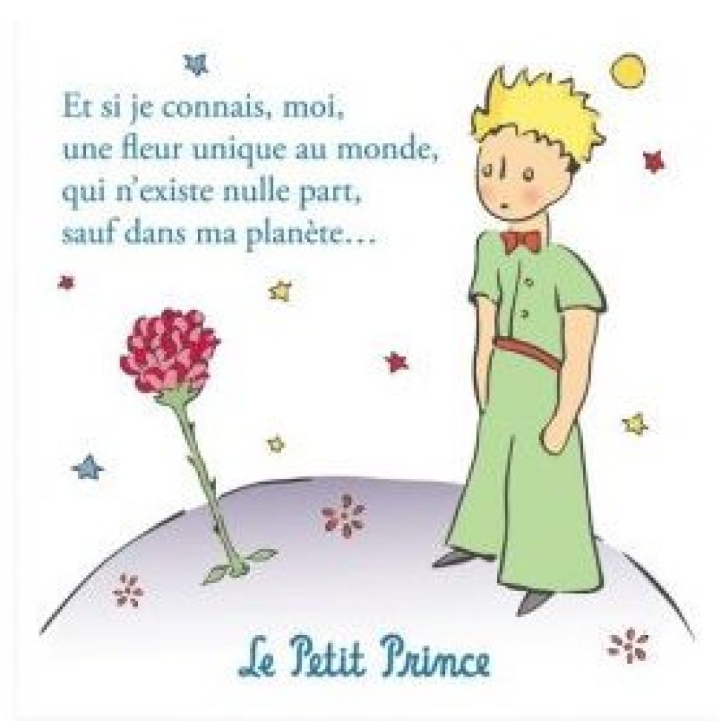 magnet-le-petit-prince-la-rose-du-petit-prince-430x430 - Cours Privé